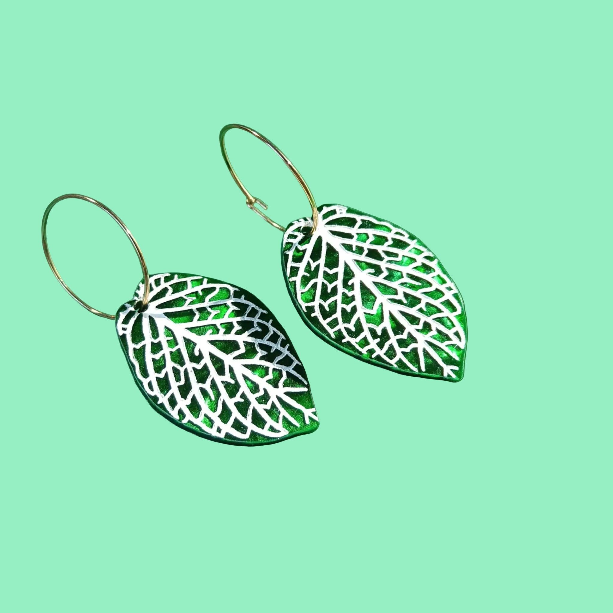 FITTONIA (NERVE PLANT) HOOPS