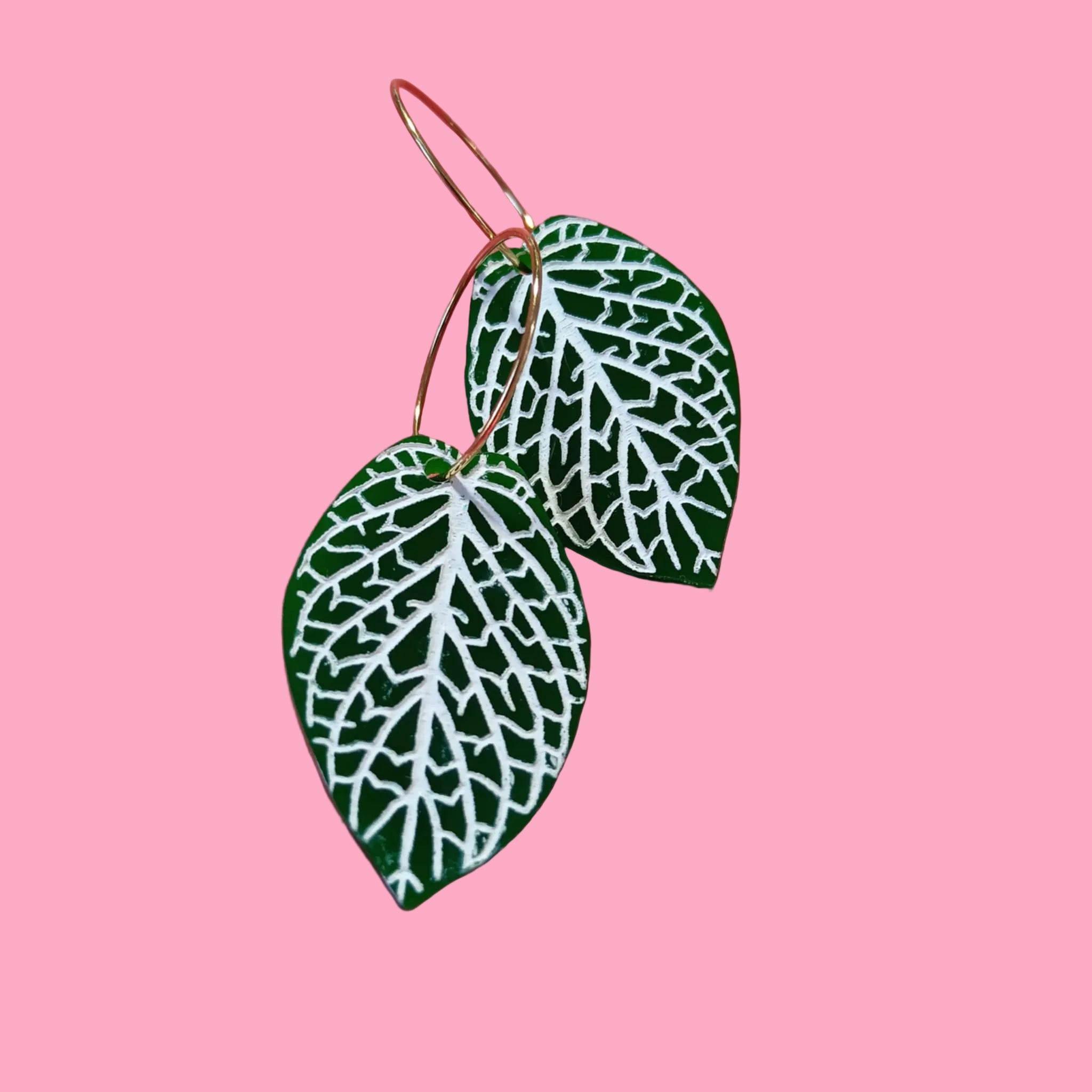 FITTONIA (NERVE PLANT) HOOPS